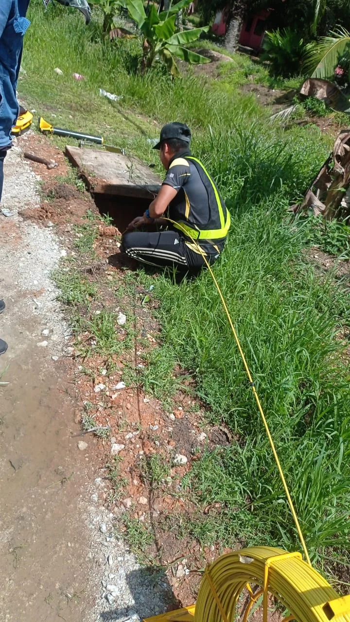 UMAP Activity - umap (25)